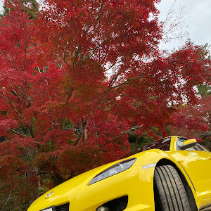 RX-8 SE3P