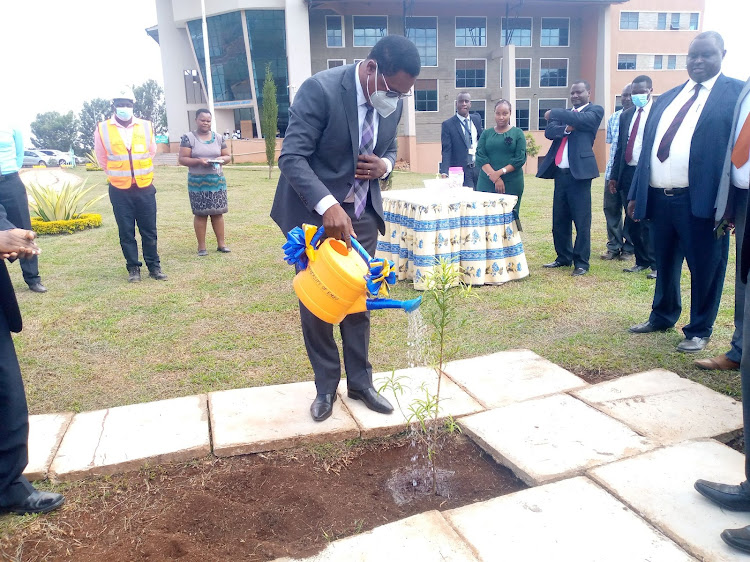 PS State Department of University Education and Research Simon Nabukwesi waters a tree seedling after planting during his courtesy visit to University of Embu on Friday, May 27.