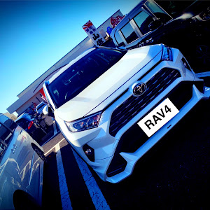 RAV4 MXAA54