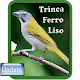 Download Canto Trinca Ferro Liso For PC Windows and Mac 1.0