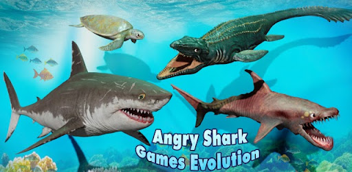 Angry Shark Games Evolution