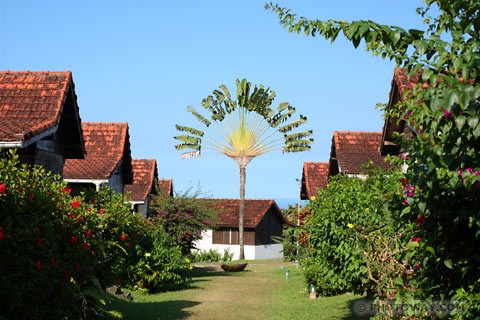 Photo Hôtel La Plantation Leyritz