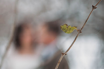 結婚式の写真家Olga Shumilova (olgashumilova)。2017 1月7日の写真