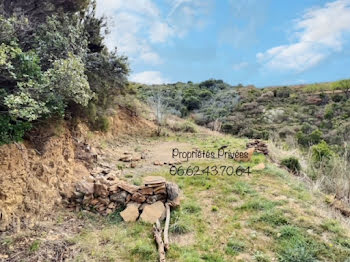 terrain à Banyuls-sur-Mer (66)