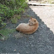 馬崗街27號咖啡小館