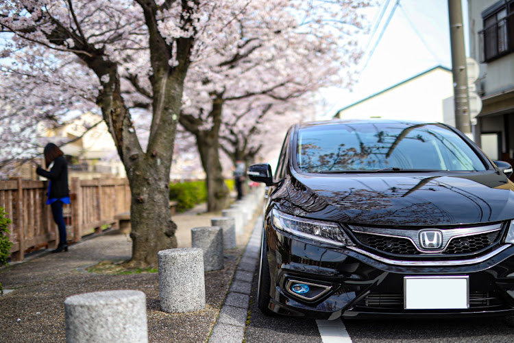 ジェイドのUSDM・3SDM・桜と愛車・桜とコラボ🌸に関するカスタム事例の投稿画像5枚目