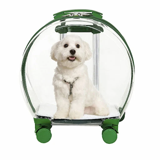 Trolley Suitcase Carrier Transparent Pet Carrying Bag Cats Conveyors Carrying and Strollers Cat Cage with Wheels Pet Pro