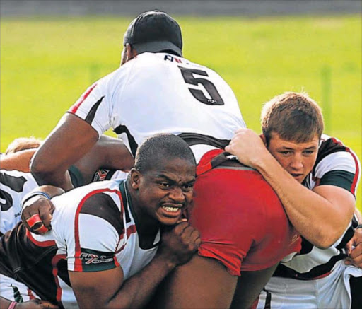 BARK AND BITE: The Border Bulldogs in action at BCM stadium Picture: ALAN EASON