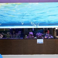 童遊水族親子咖啡廳 林口分館