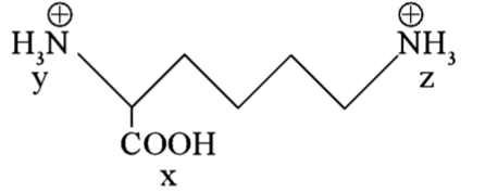 Amino Acids