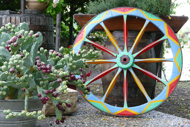 Sicilian wheel di aughi