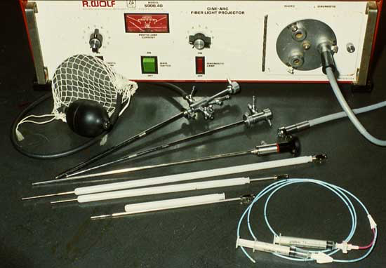 Canine vaginoscopy equipment including a light source and fiberoptic cable, a 3 mm diameter telescope, a selection of 5 and 6 mm hysteroscope sheaths, and a rubber bulb for insufflation with air