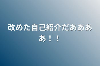 改めた自己紹介だああああ！！