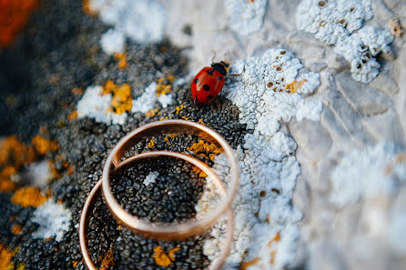 Fotografo di matrimoni Viktor Zapruda (zapruda). Foto del 8 dicembre 2016