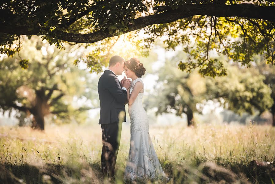 Wedding photographer Gennadiy Panin (panin). Photo of 22 September 2016