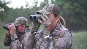 New Mexico Archery Elk thumbnail