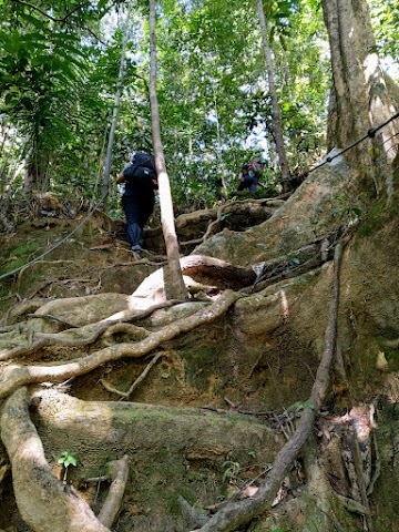 Gunung Tahan via Merapoh Hiking