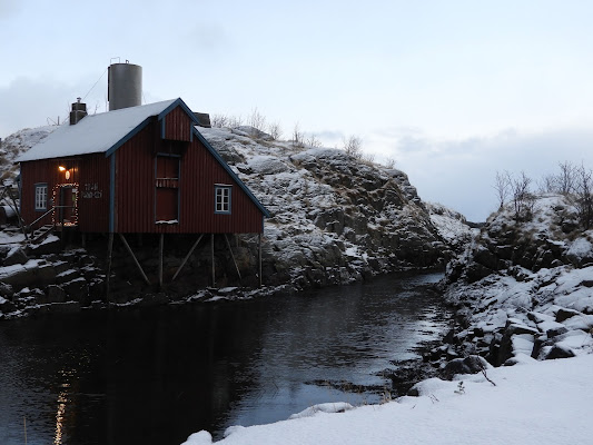 The red and white Lofoten di EffePunto