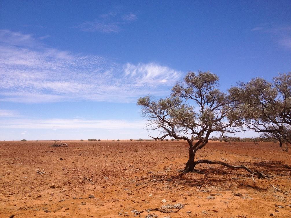 The Simpson Desert’s