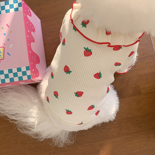 Title 6, New Pet Strawberry Bottoming Shirt. Give your d...