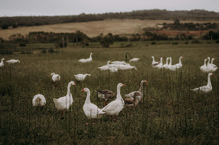 Fotografo di matrimoni Sarka Parkes (sarkaparkes). Foto del 11 ottobre 2022