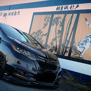 オデッセイ RC1