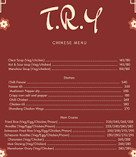 T.R.Y Chinese menu 1