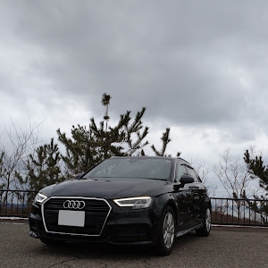 A3 スポーツバック 8VCXS