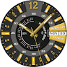 Watch Face - Regal Interactive icon