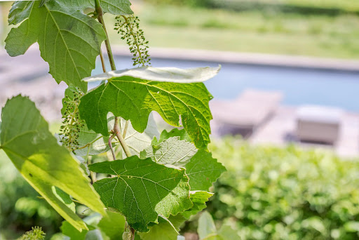 Villa avec piscine et jardin 24