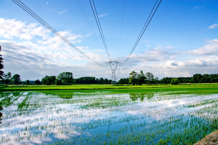 Power lines di fedevphoto