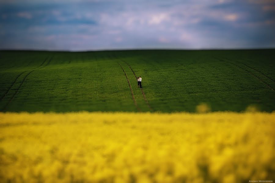 Bryllupsfotograf Andrey Medvedyuk (medvediuk). Foto fra juni 27 2014