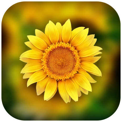 3D Photo GalleryPhoto ManagerPhoto Video Gallery APK Download for