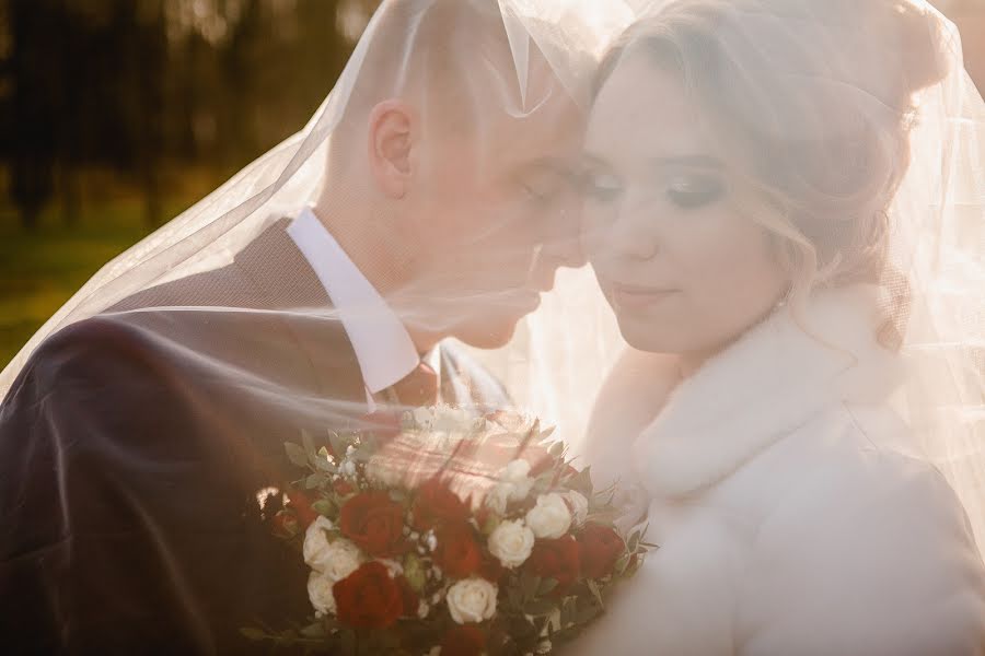 Wedding photographer Andrey Klimovec (klimovets). Photo of 3 December 2019