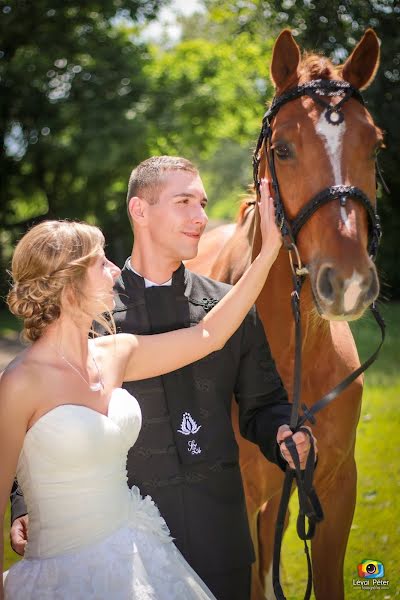 Fotografo di matrimoni Péter Lévai (lpfotovideo). Foto del 24 febbraio 2019