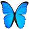 Item logo image for NameSpotter