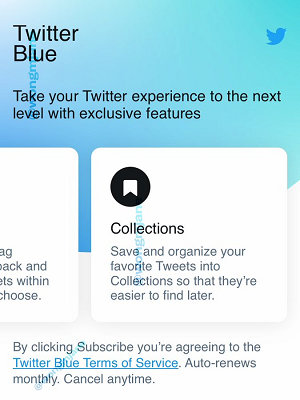 Twitter Azul