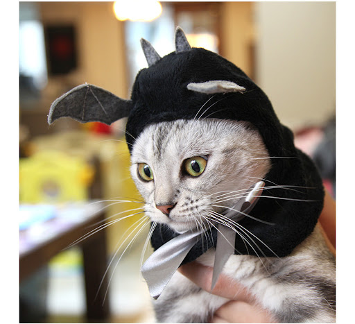 Title 3, Halloween Super Cute Bat Little Wing Hooded Clo...