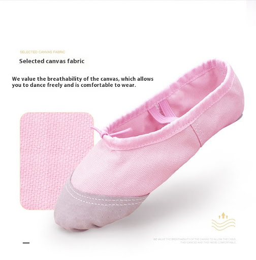 Title 11, Childrens dance shoes & womens soft bottom da...