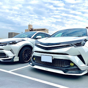 C-HR ZYX10