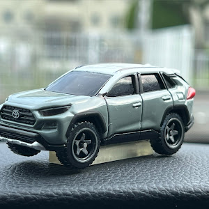 RAV4 AXAP54