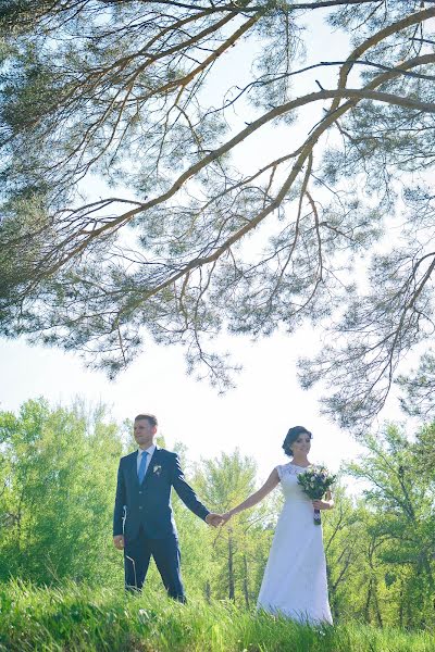 Wedding photographer Ekaterina Lushnikova (fotokarpik). Photo of 25 January 2016