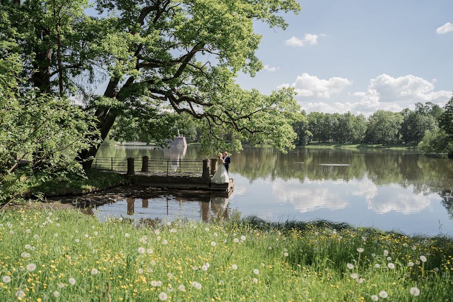 Svatební fotograf Mariya Filippova (maryfilfoto). Fotografie z 12.června 2022