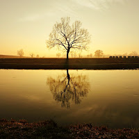 Controluce sul canale di 