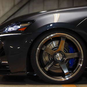 GS F URL10