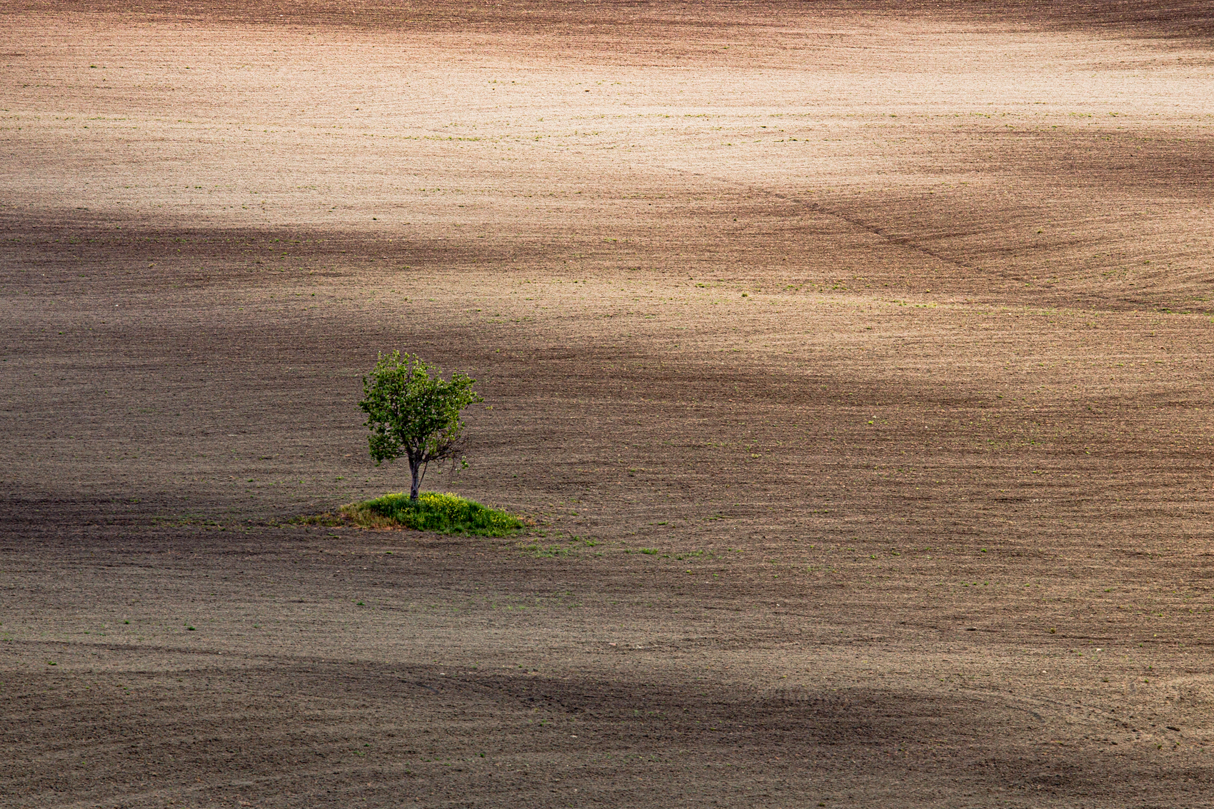 onde di terra di annabarbi