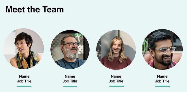 Company Profile Template: Meet the Team