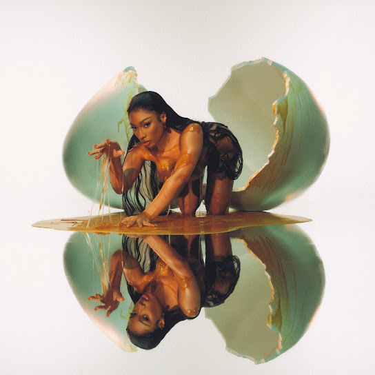 Megan Thee Stallion Spin Mp3 