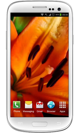 Flowers Bloom Live Wallpaper