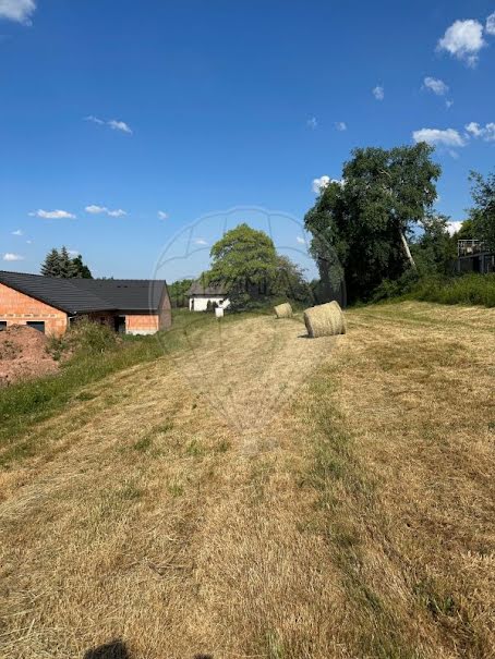 Vente terrain  2043 m² à Phalsbourg (57370), 75 000 €